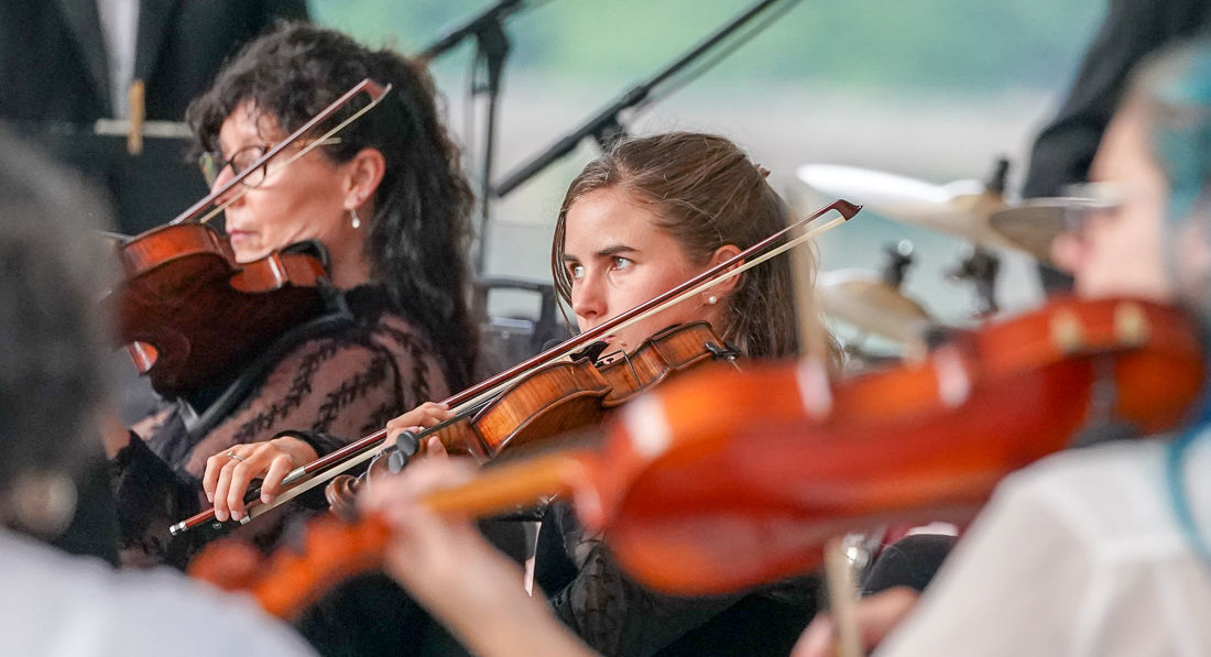 Violins